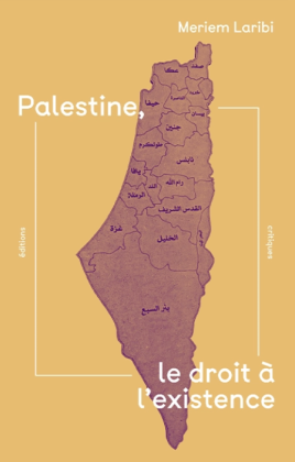 Palestine, le droit à l'existence (Livre)